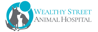 Link to Homepage of Wealthy Street Animal Hospital