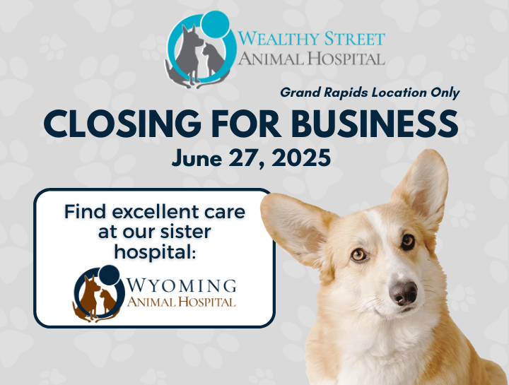 Wealthy Street Animal Hospital is closing for business.